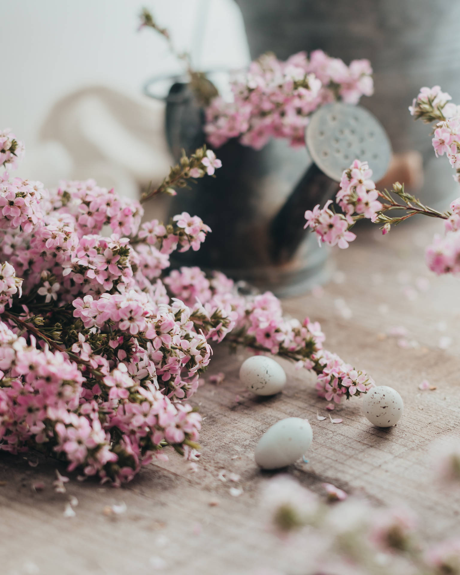 Pink Flowers And Easter Quail Eggs Background