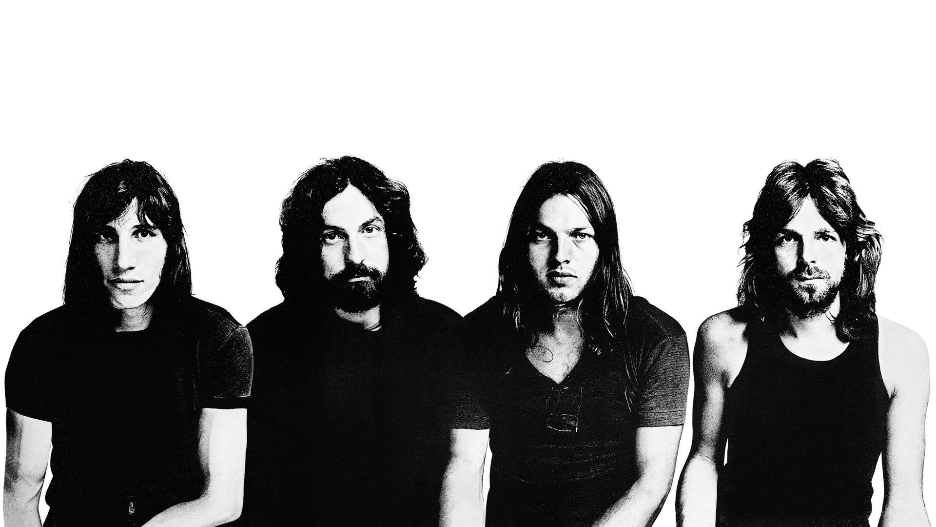 Pink Floyd 4k Monochrome On White Background