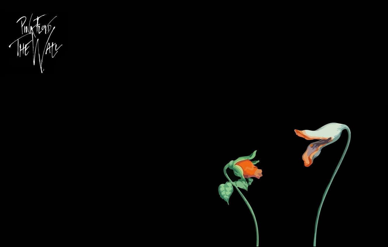 Pink Floyd The Wall Dark Flowers Background
