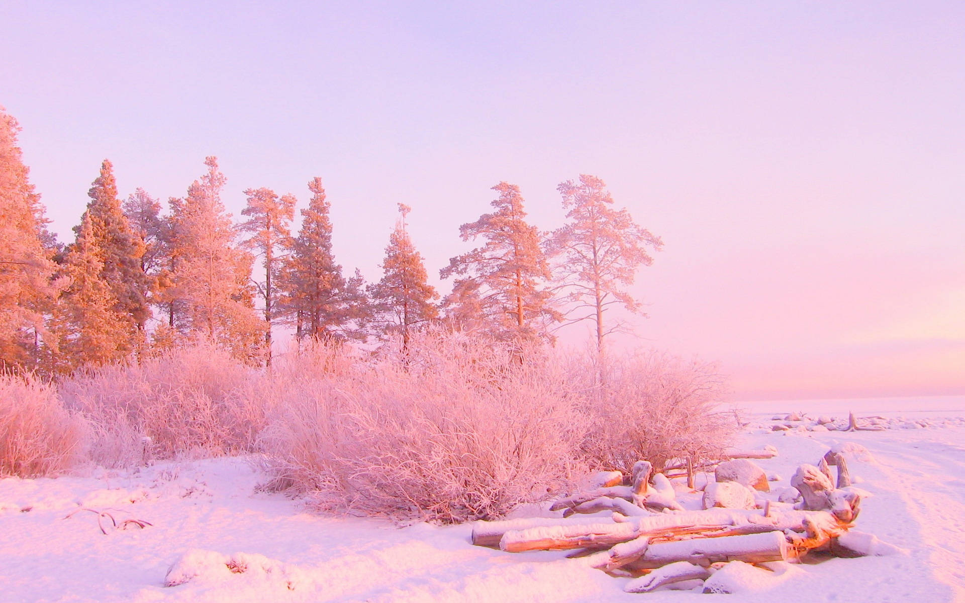 Pink Forest Snow Aesthetic