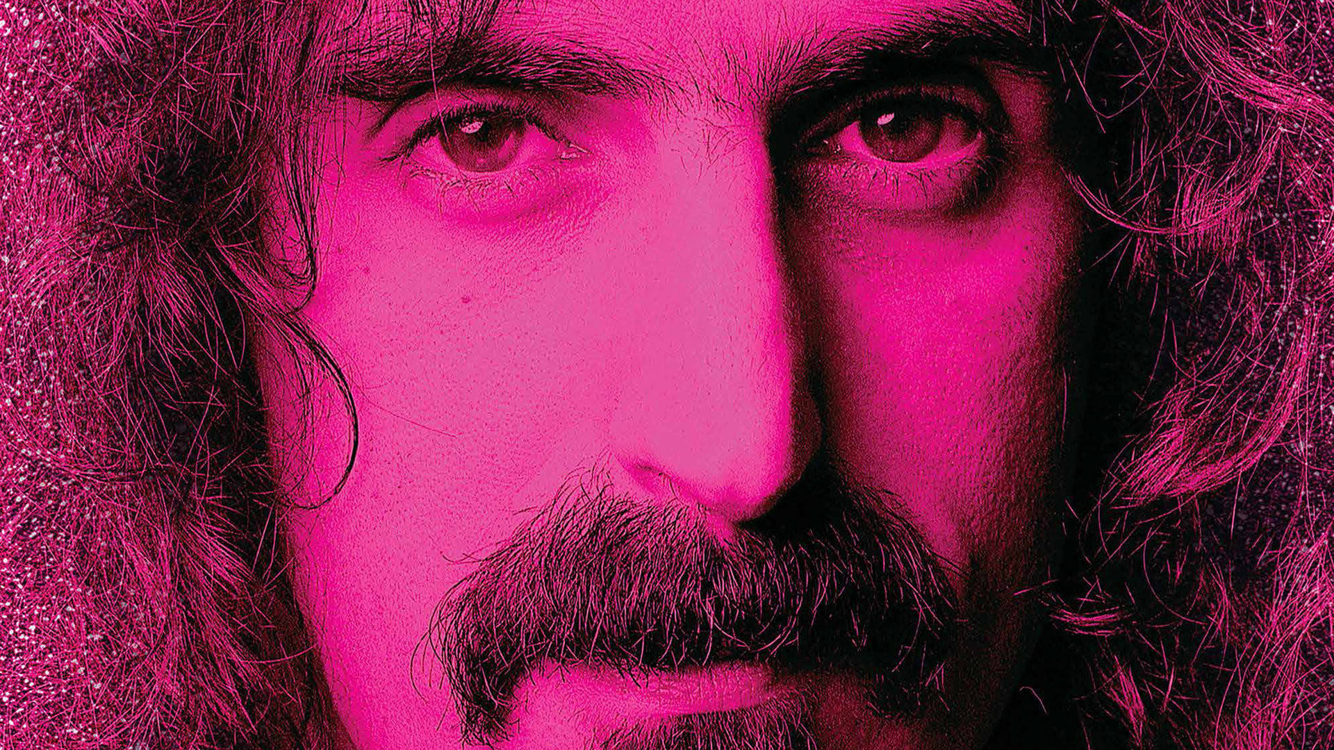 Pink Frank Zappa Background