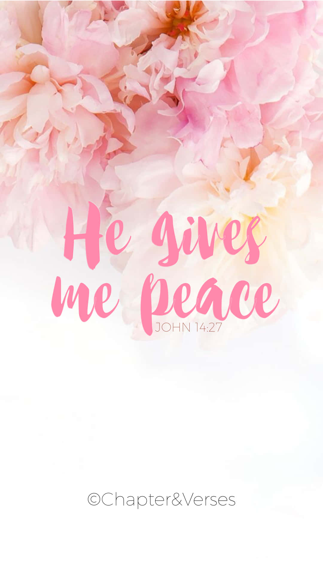 Pink Girly Bible Verse Background