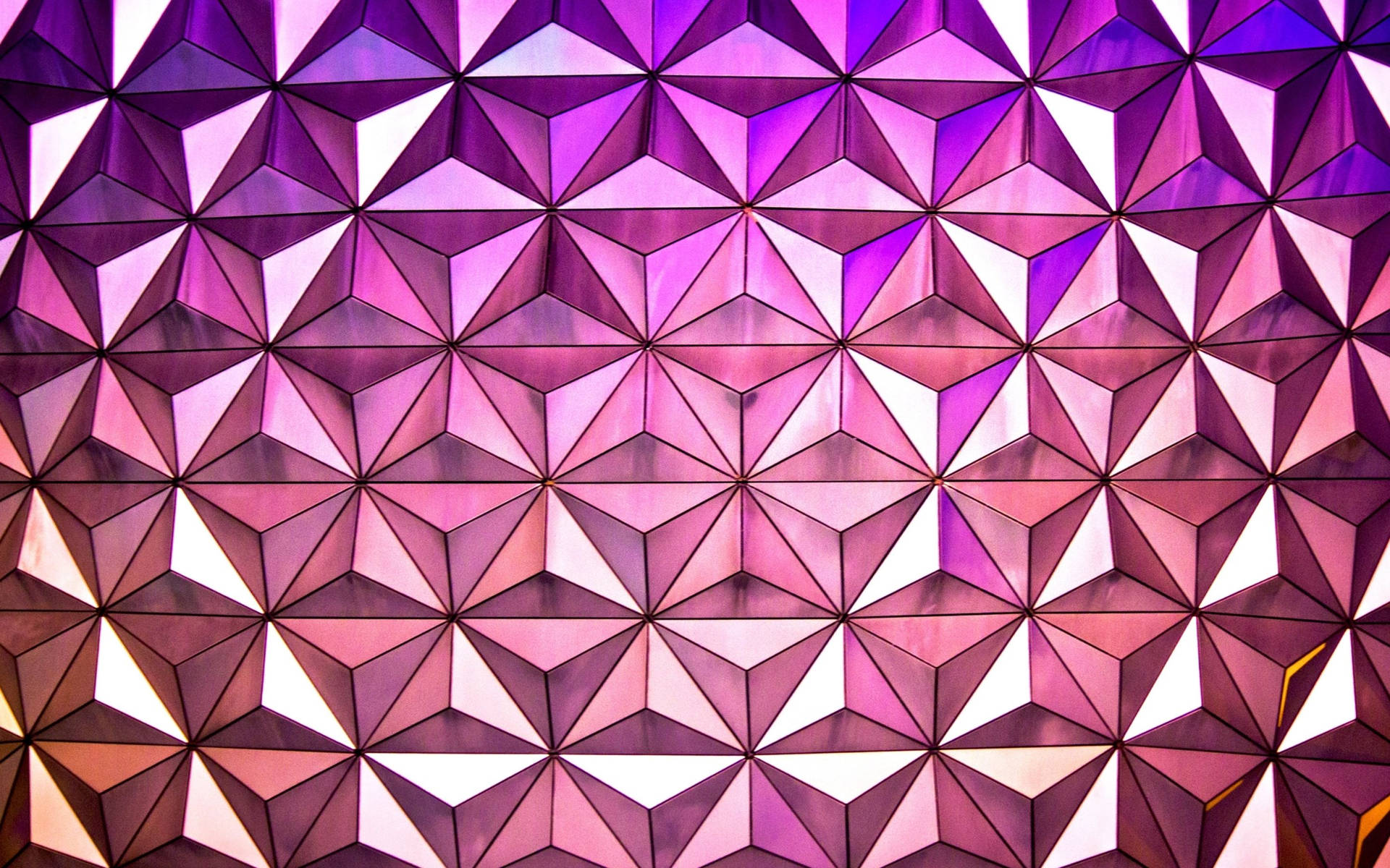 Pink Glow Epcot Background