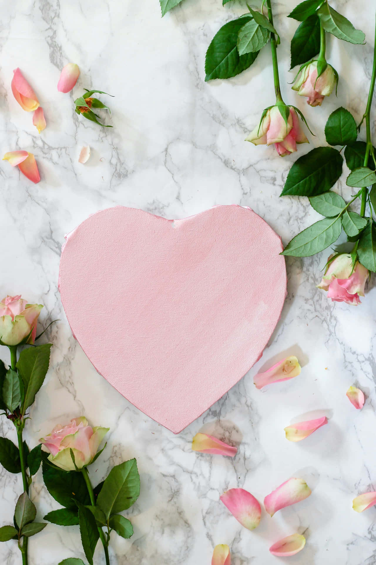 Pink Heart Roses Marble Background Background