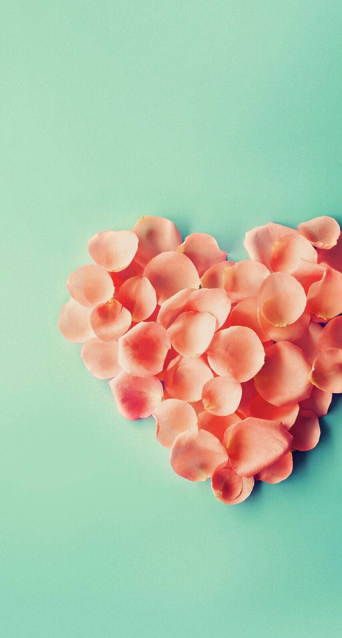 Pink Heart-shaped Petals Love Phone Background