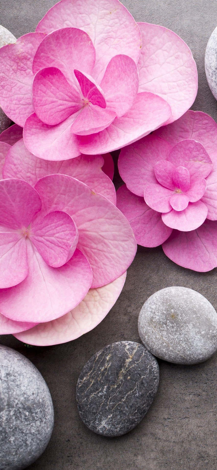 Pink Hydrangea Pebbles Spa Setting