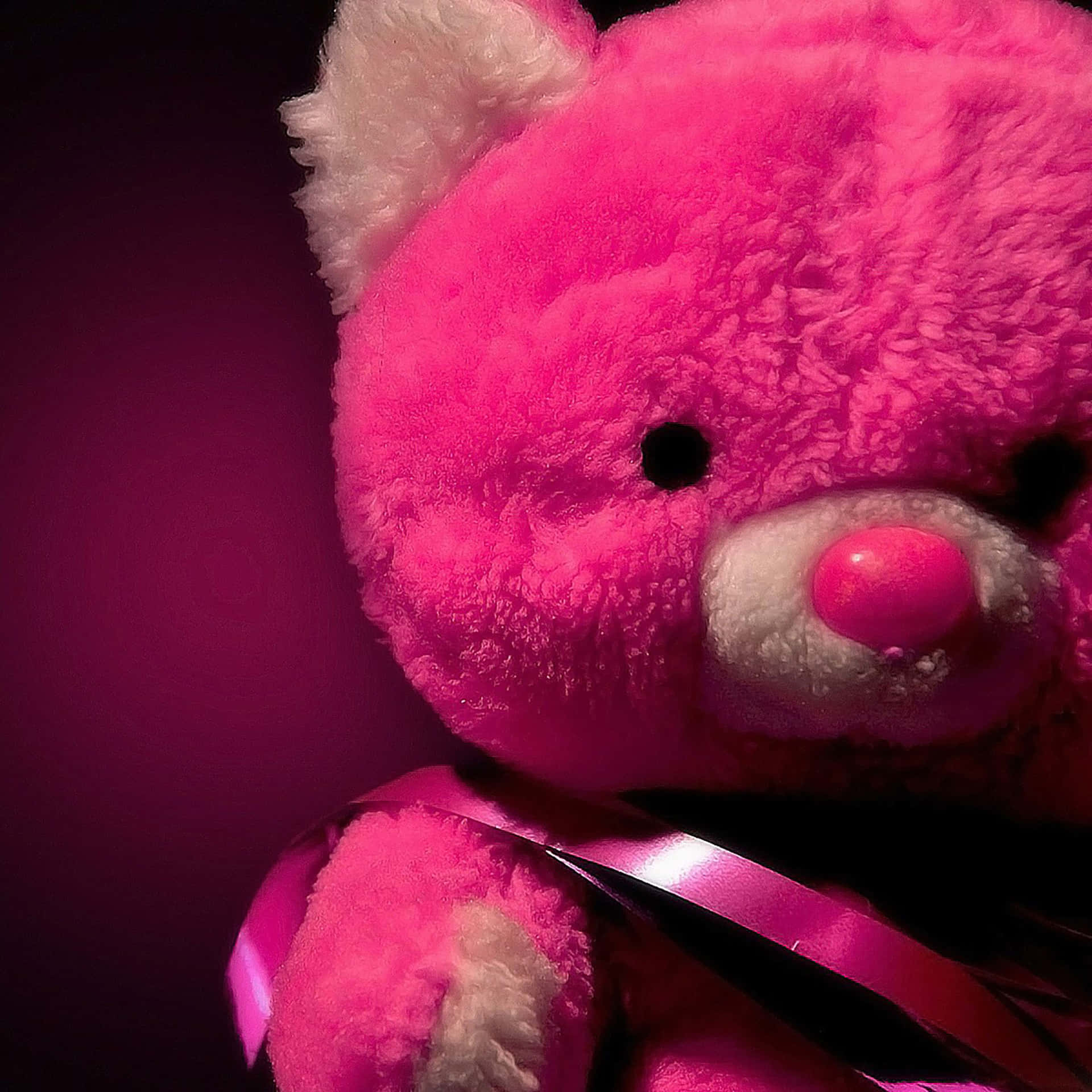 Pink Ipad Cute Teddy Bear Photography Background