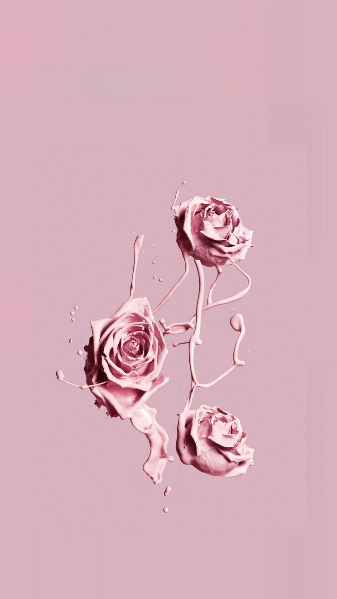 Pink Iphone Xr Aethetic Roses Background