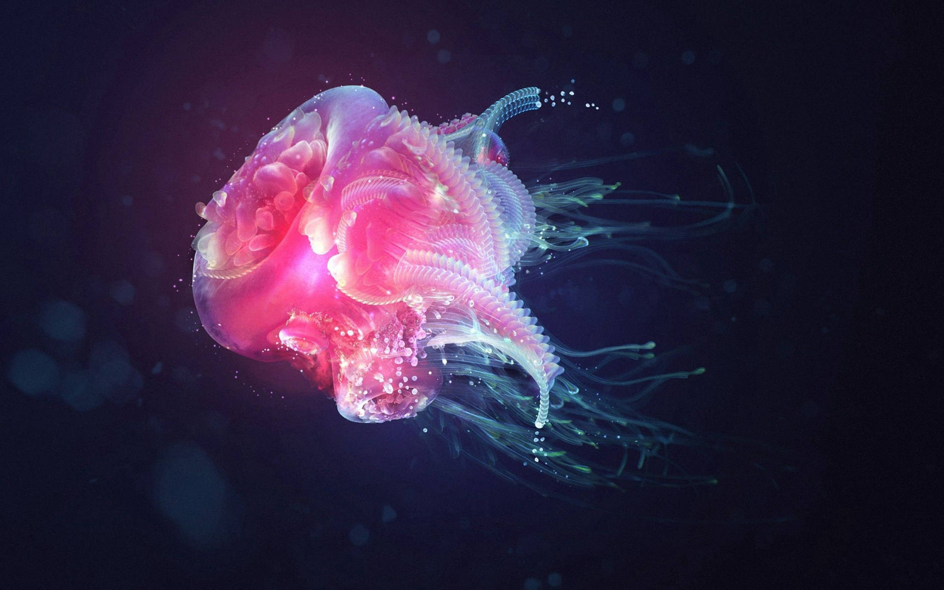 Pink Jellyfish In Black Underwater Background