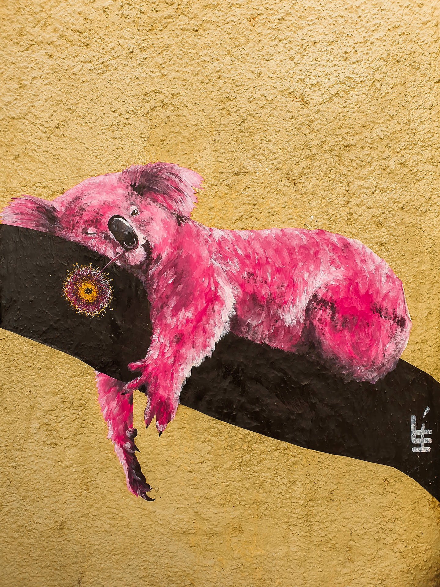 Pink Koala Street Art Background