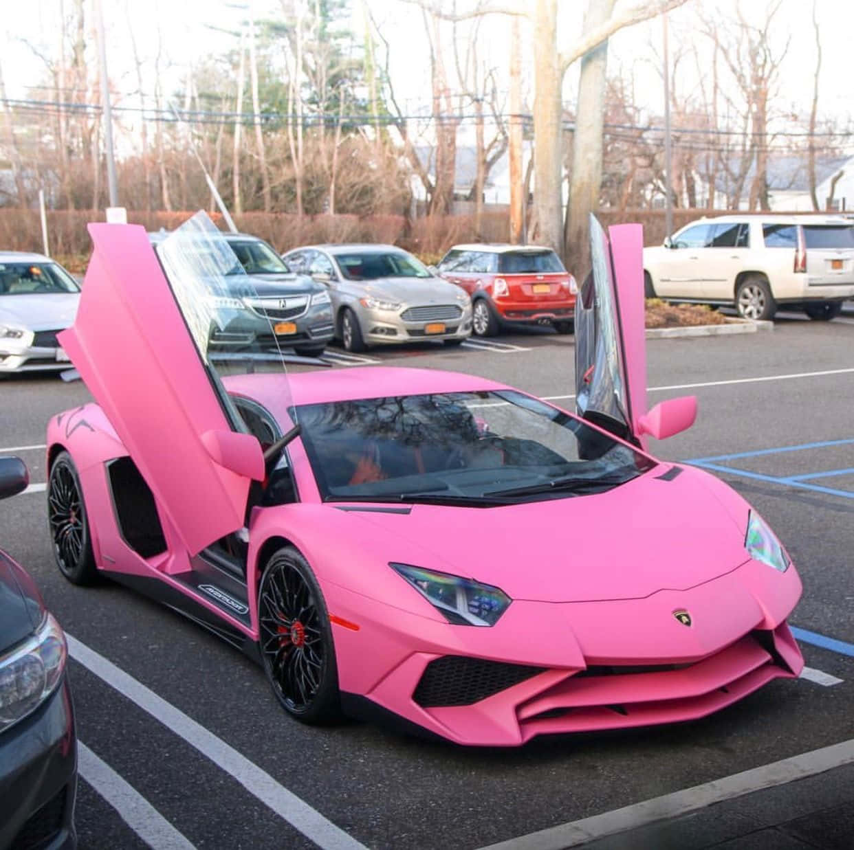 Pink Lamborghini Aventador Parked