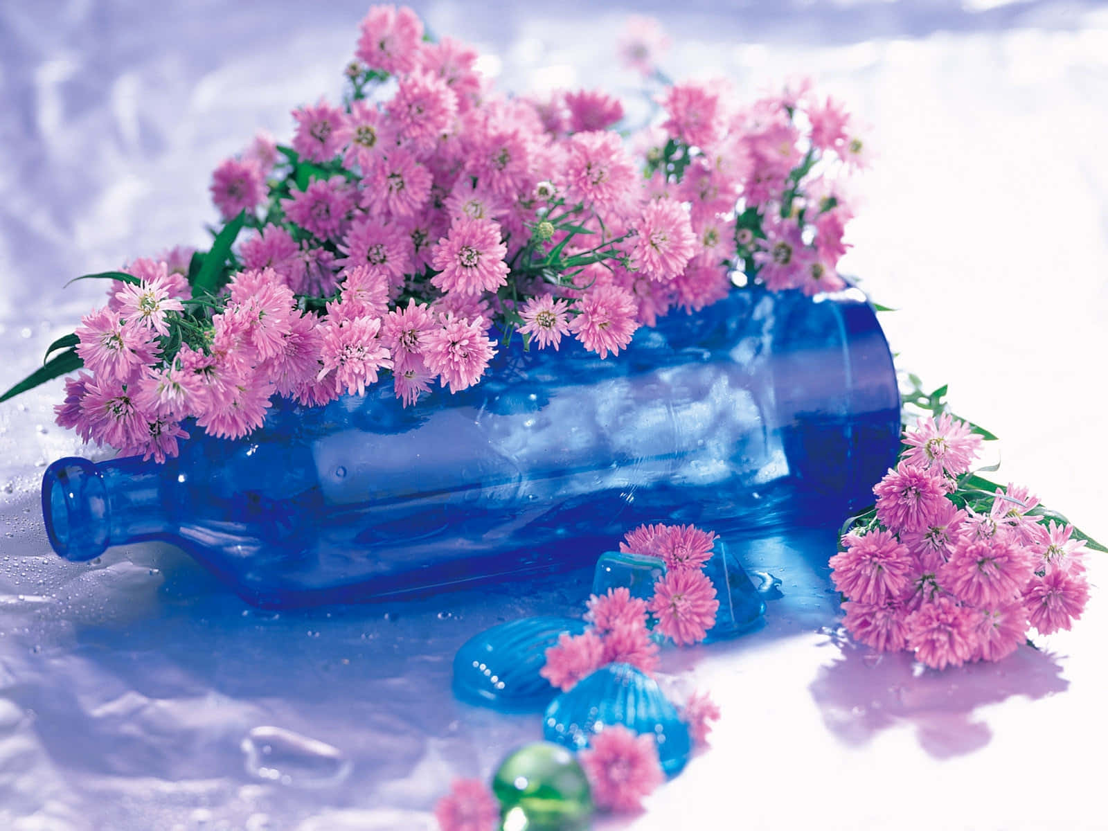 Pink Lilac Color Flowers Blue Bottle Background