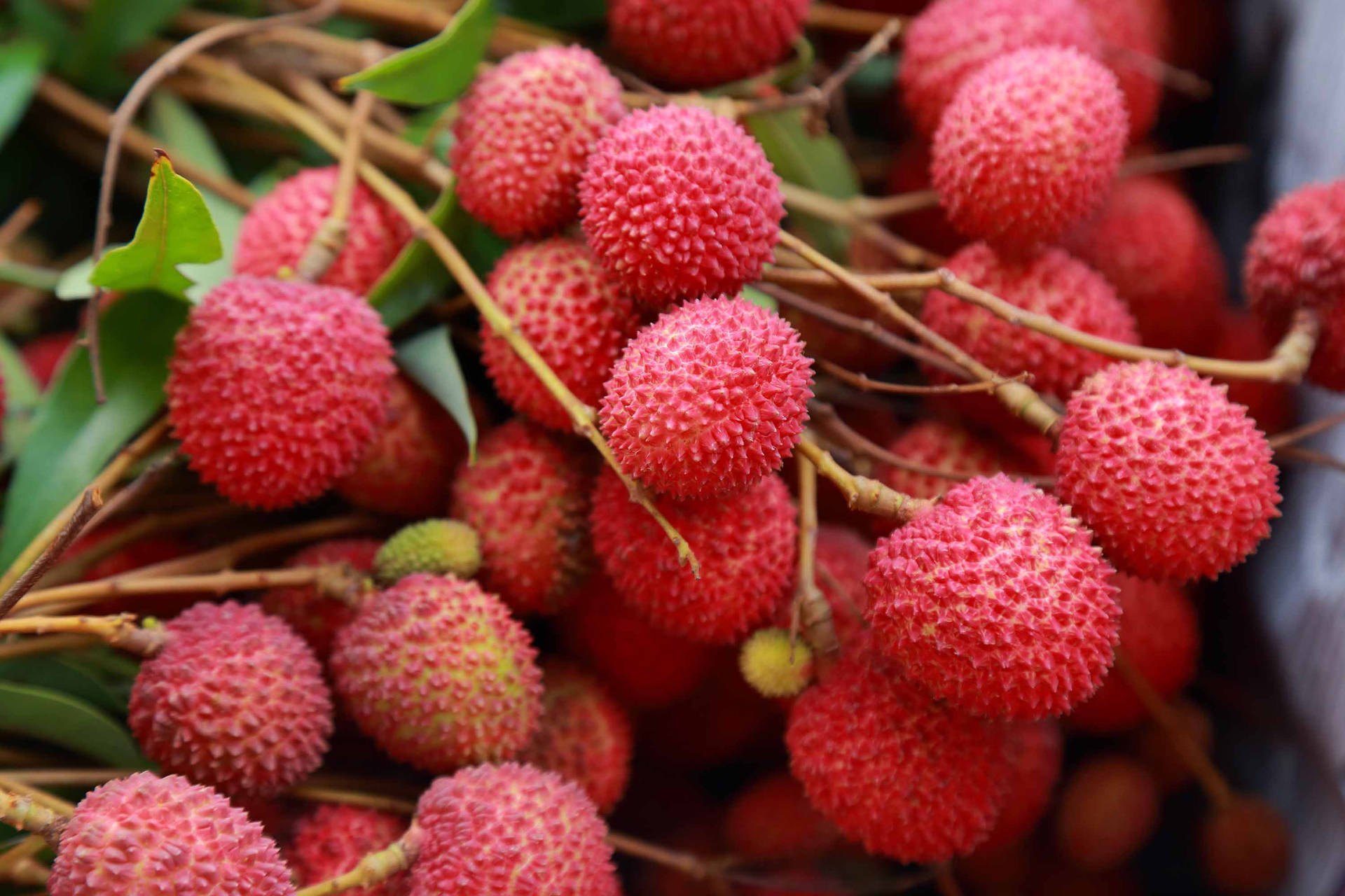 Pink Litchi Fruits Background