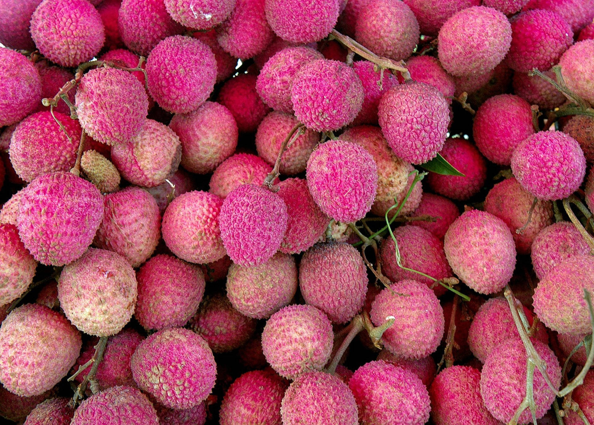 Pink Litchi Produce Background