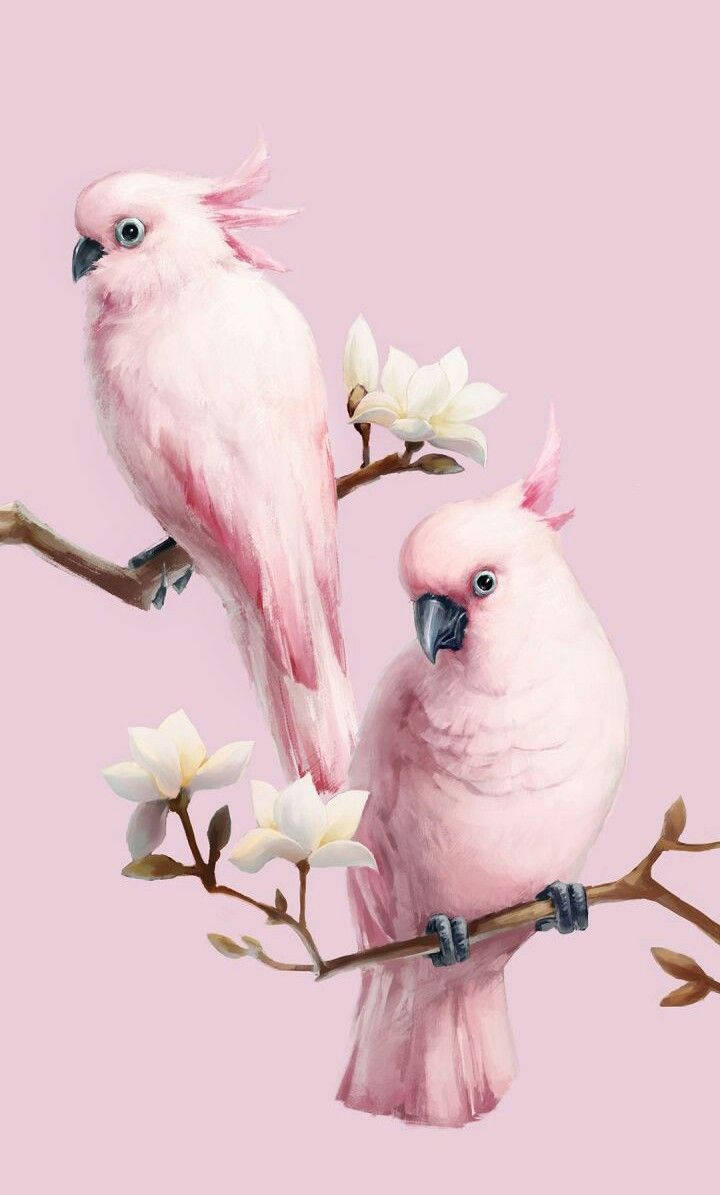 Pink Love Birds Painting Background
