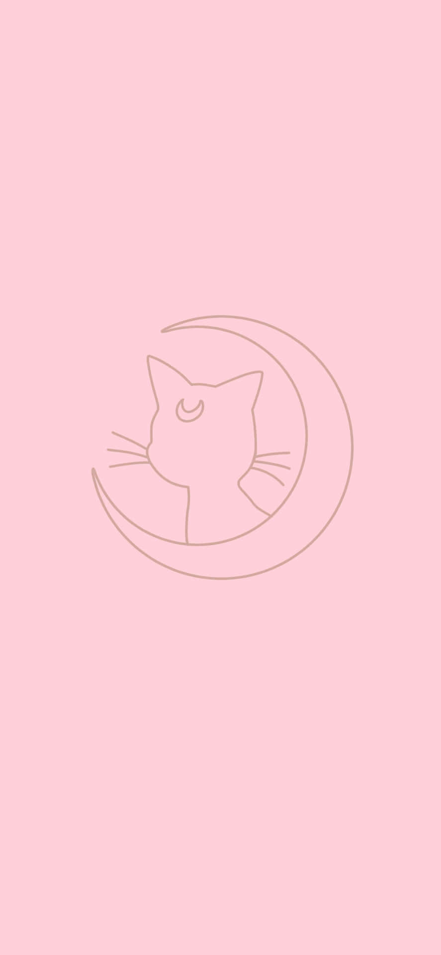 Pink Minimalism At Its Finest Background