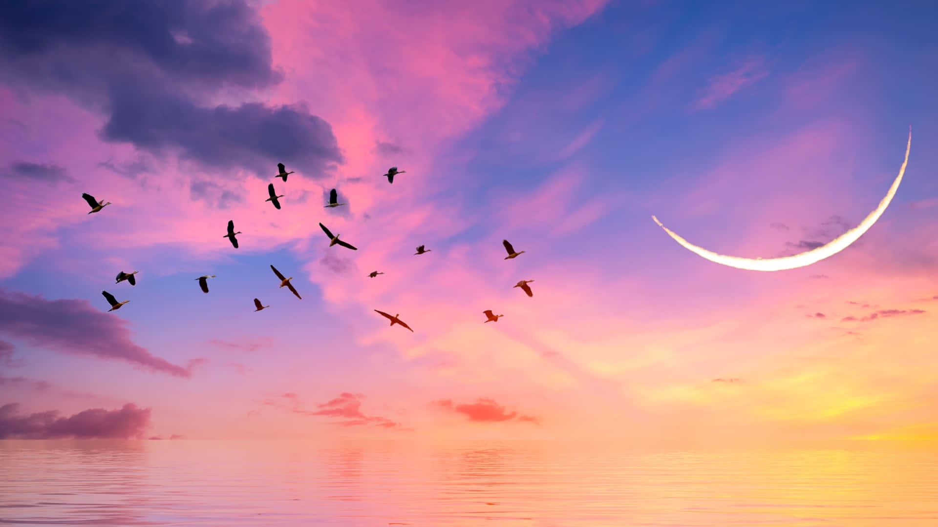 Pink Moon And Birds Flying