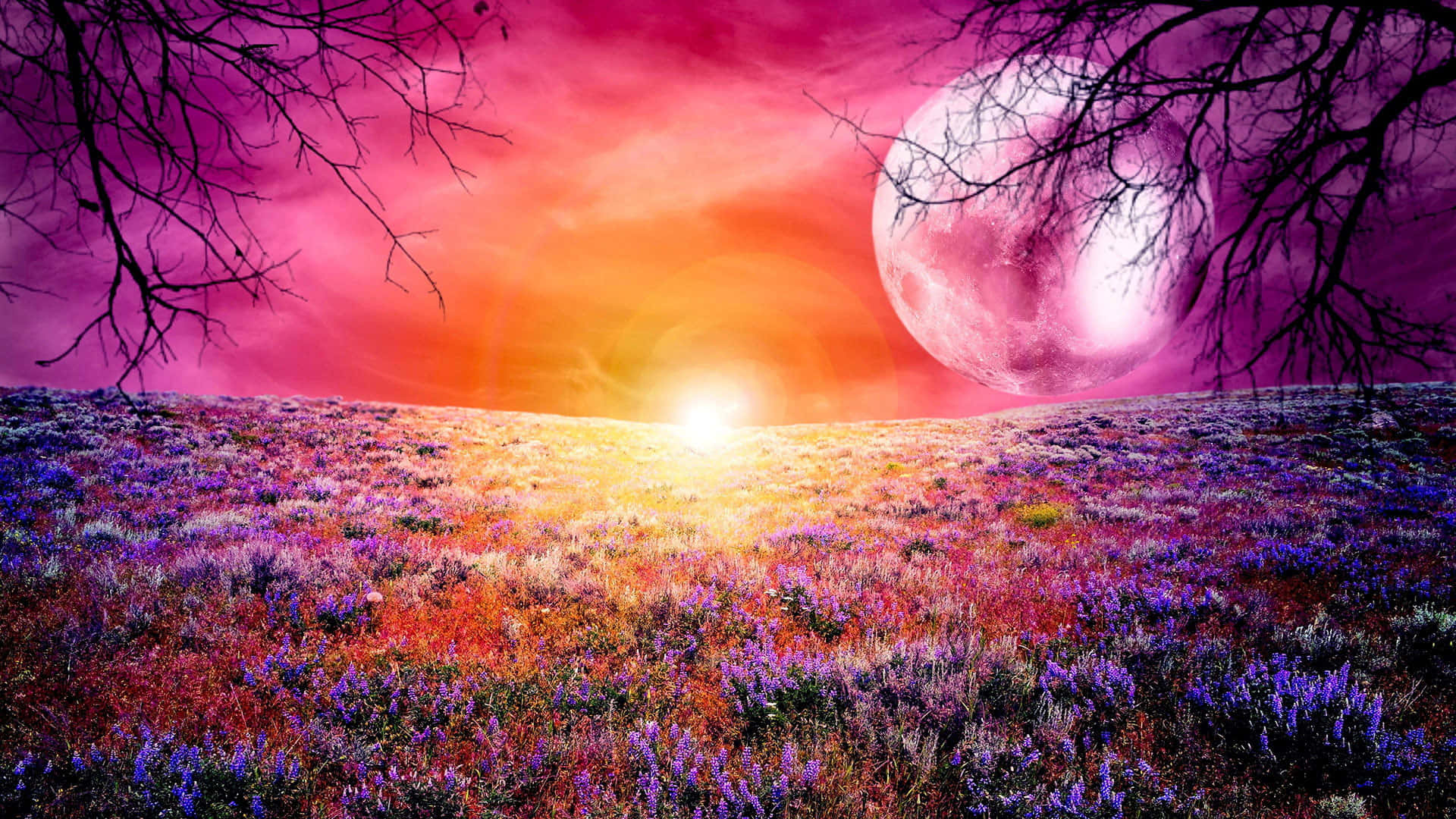 Pink Moon And Flower Field Background