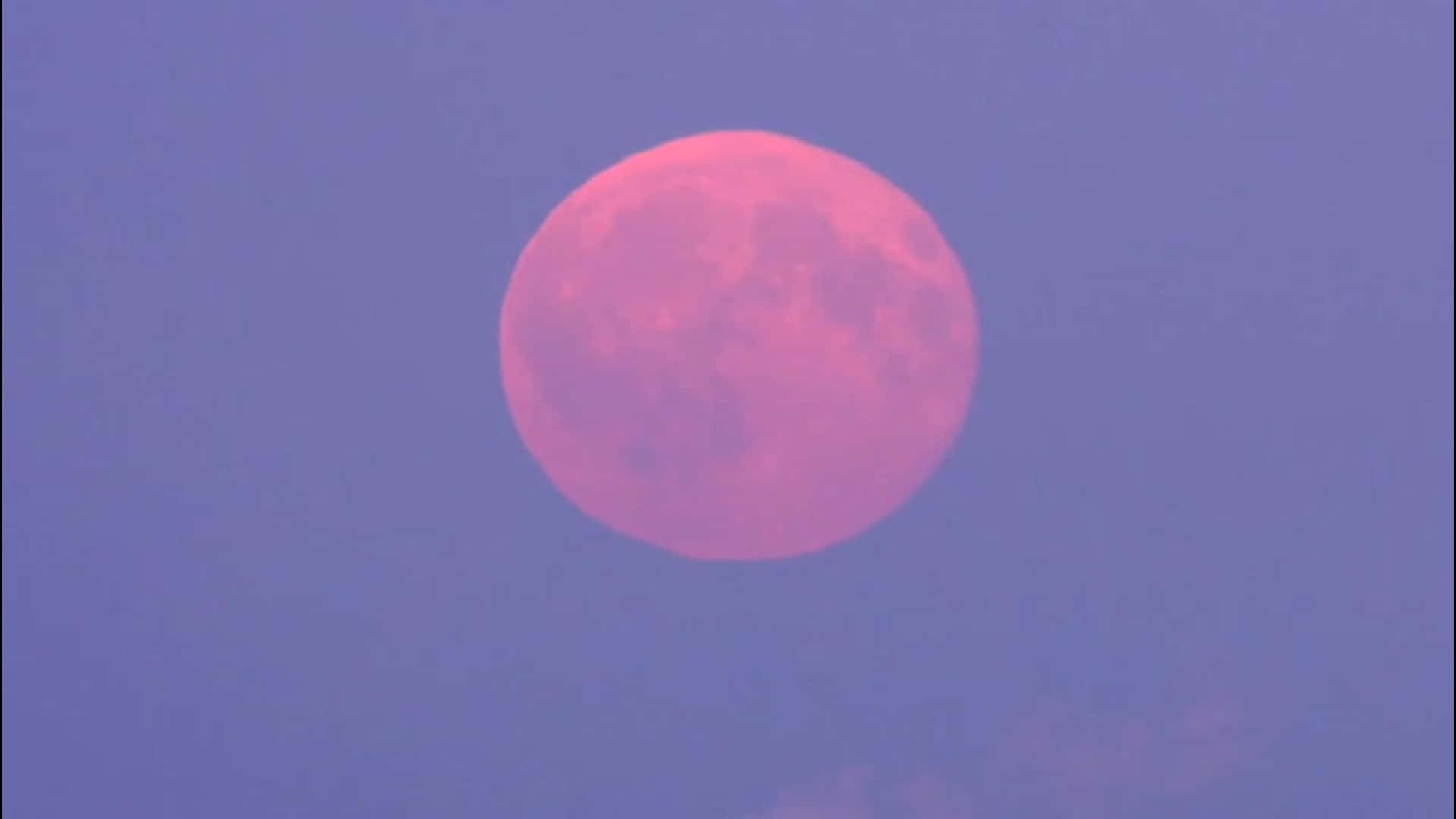 Pink Moon High In The Sky