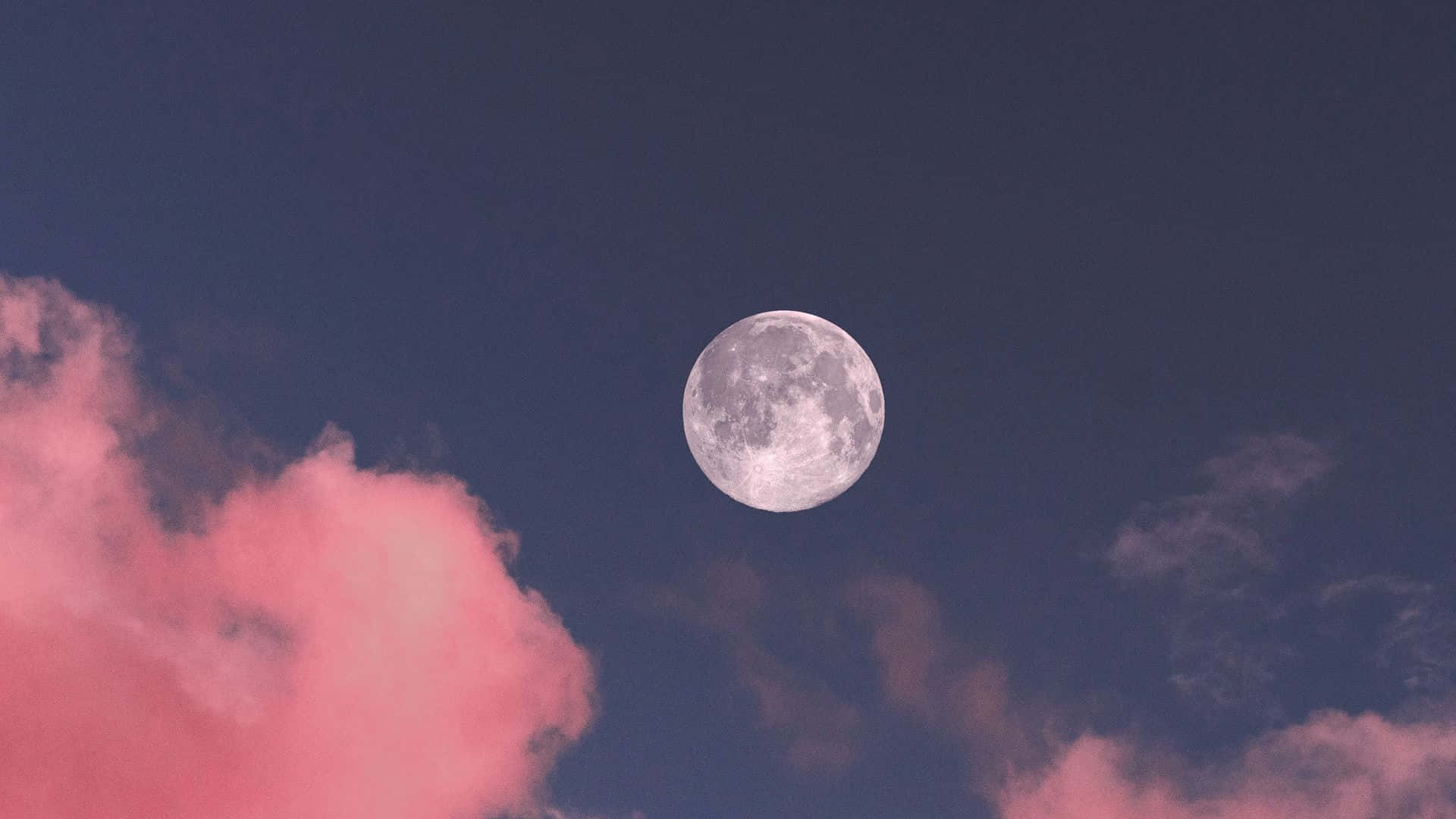 Pink Moon Illuminating Night Sky