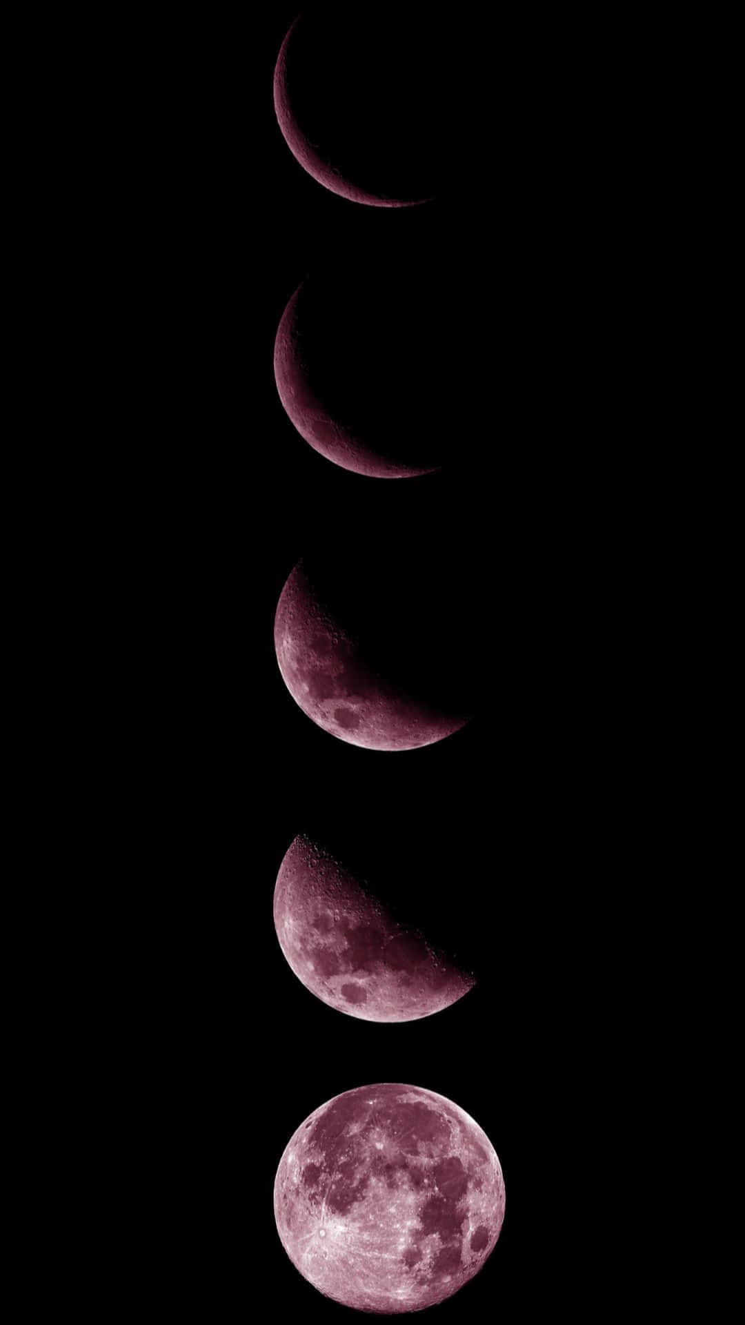 Pink Moon Phases