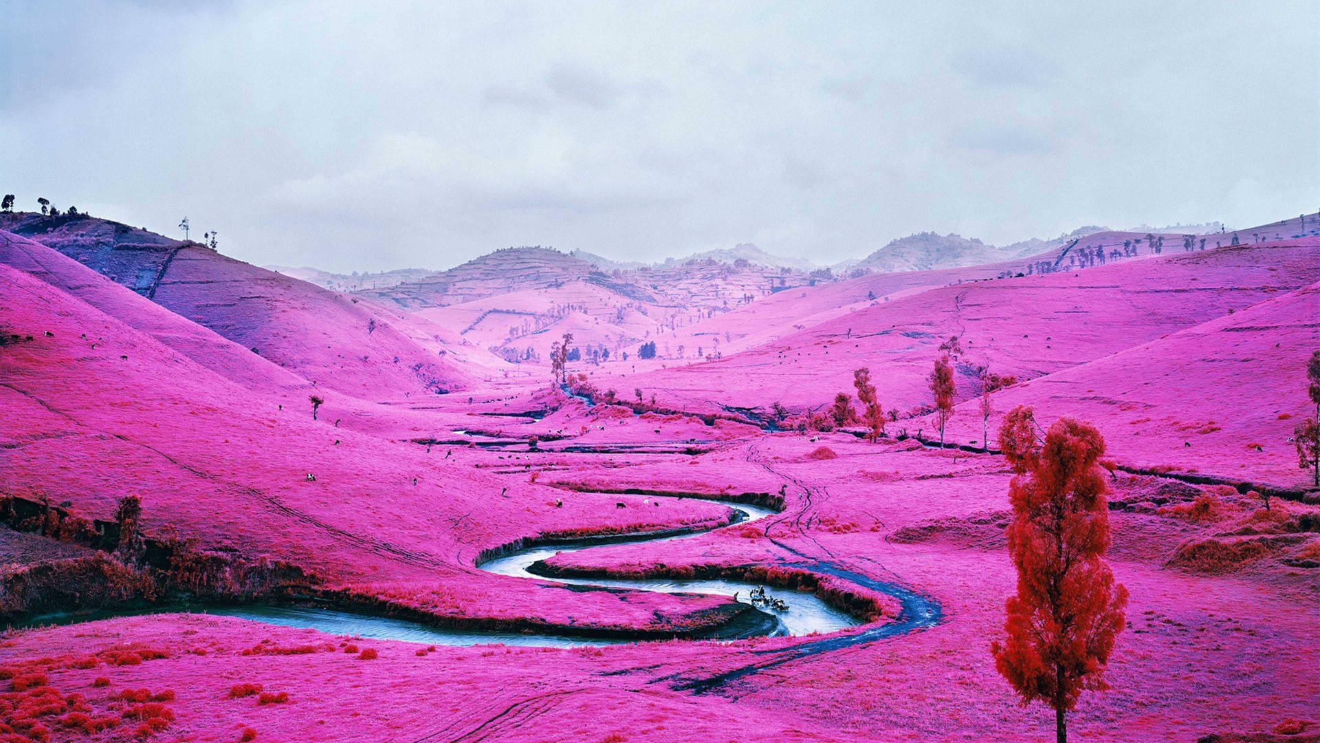 Pink Mountain In Congo Background