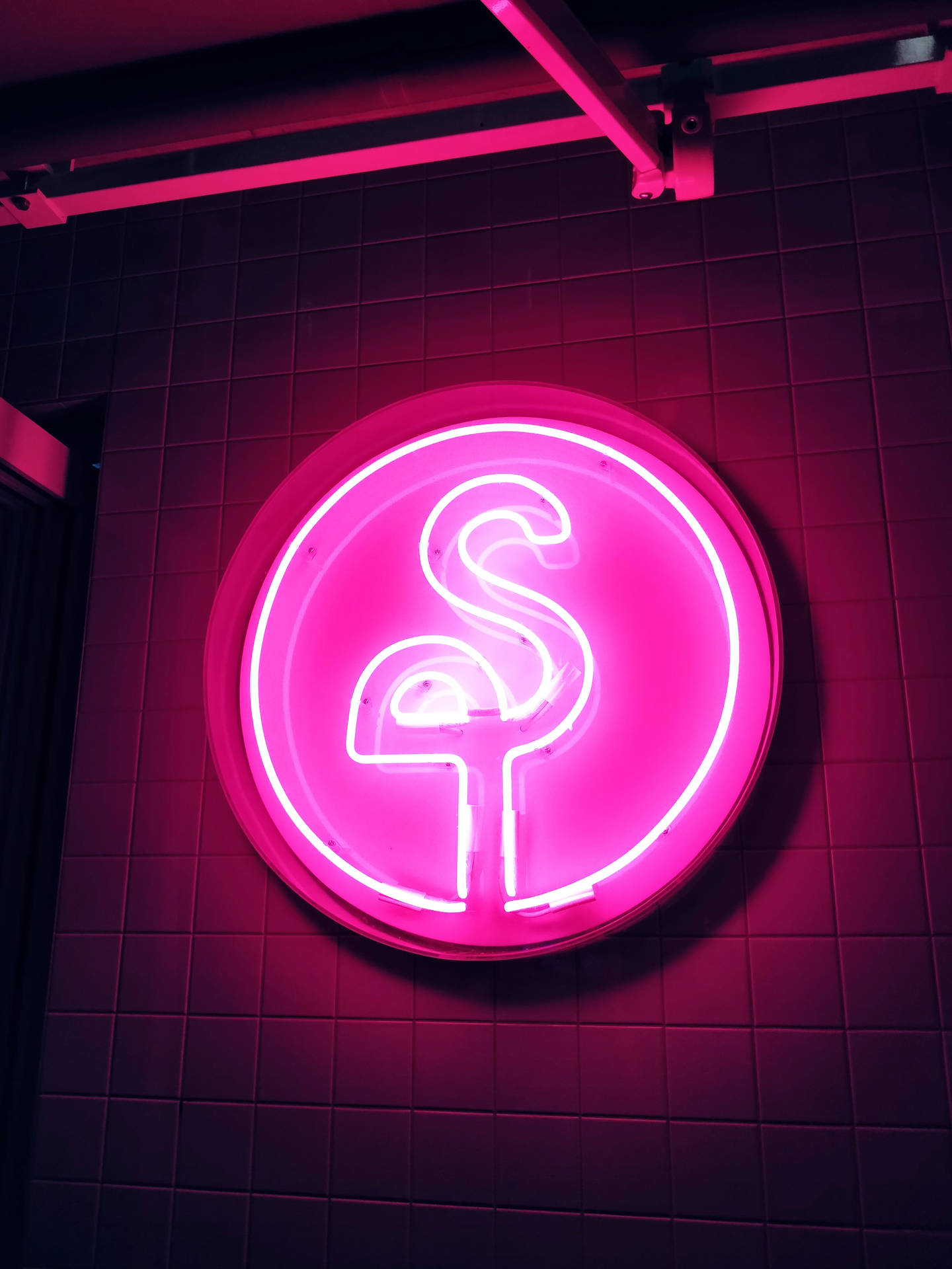 Pink Neon Flamingo Led Signboard Background