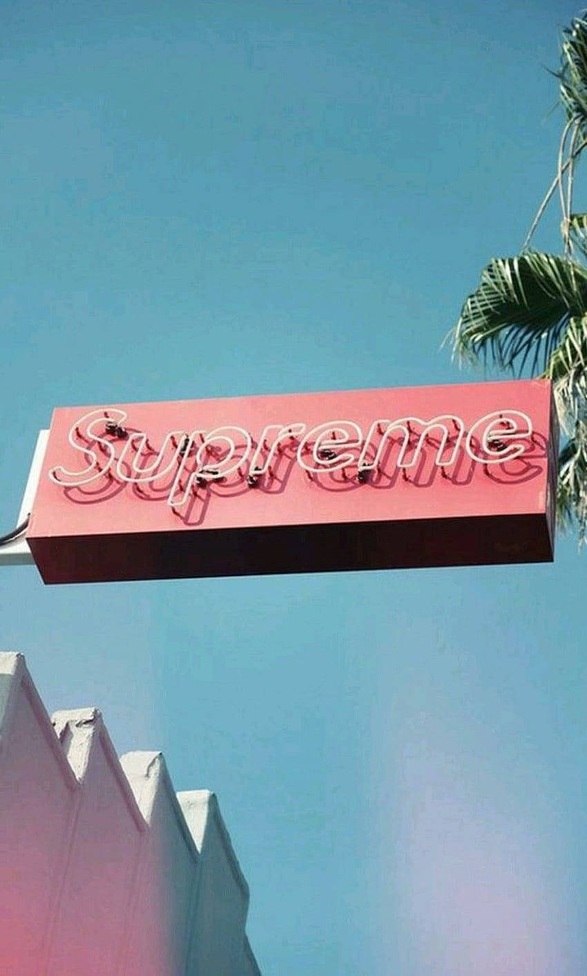 Pink Neon Supreme Aesthetic Sign