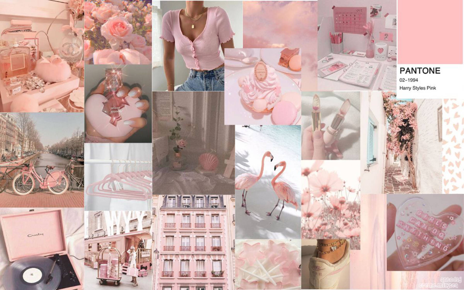 Pink Palette - A Collage Of Pink Images Background