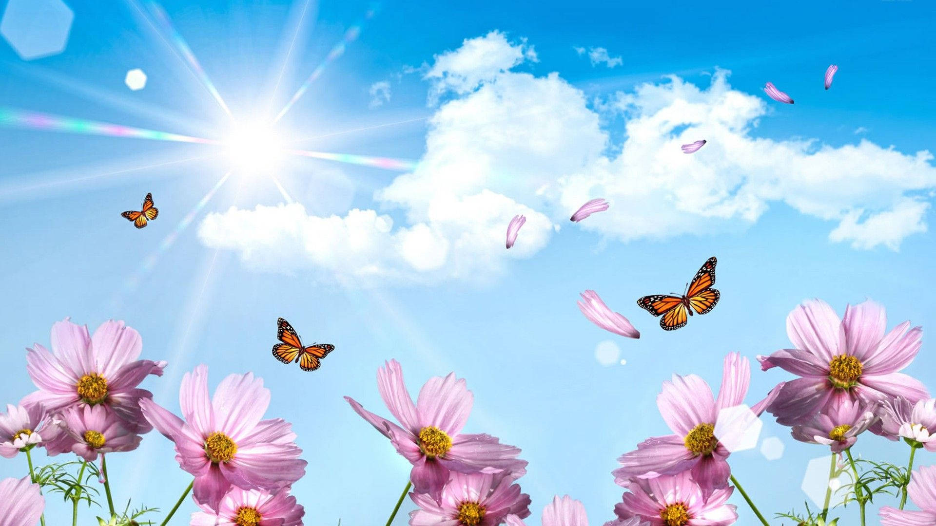 Pink Pansy And Butterflies Background