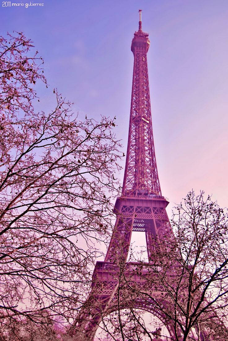 Pink Paris Eiffel Tower With Trees Background