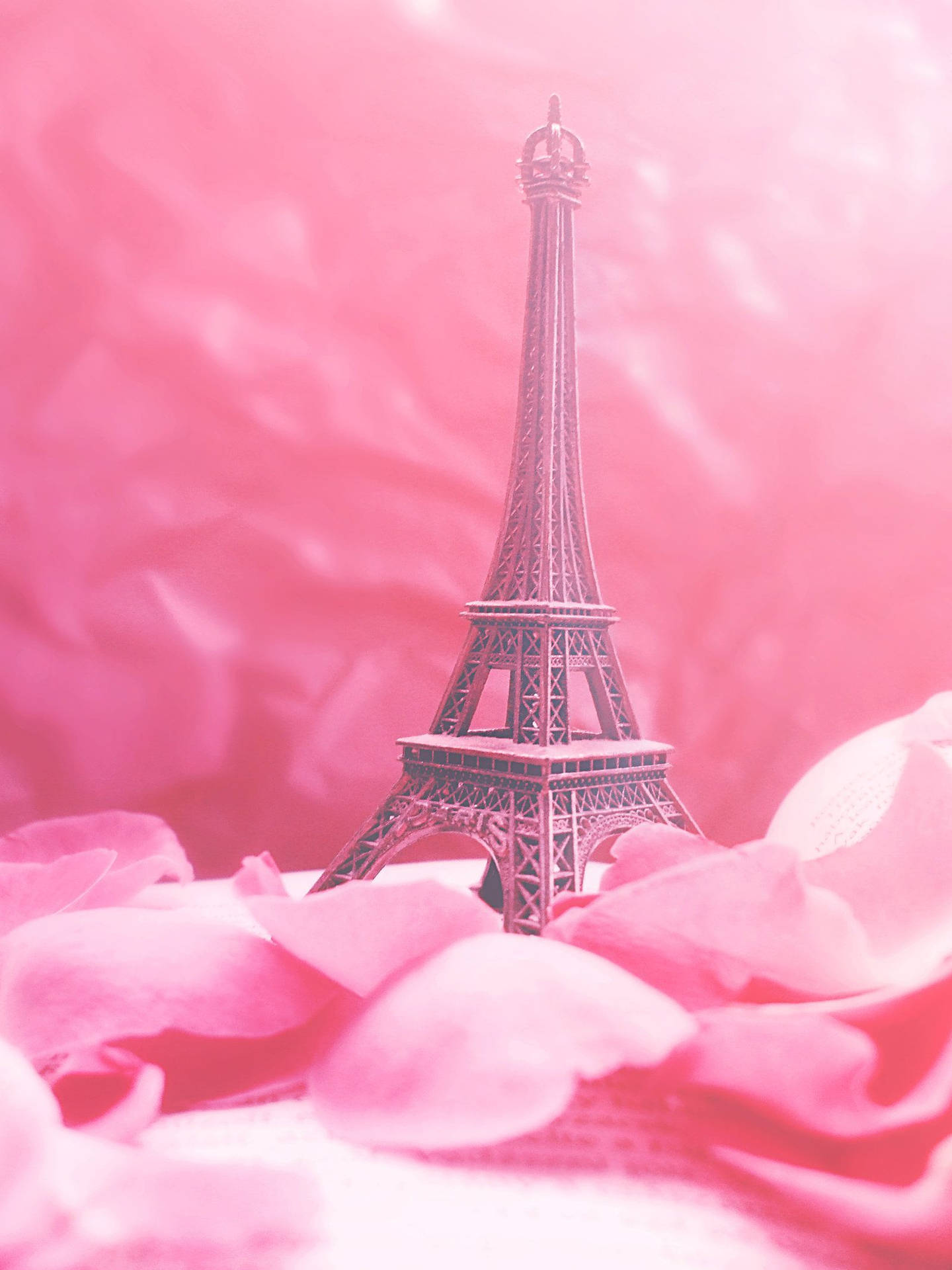 Pink Paris Ornament With Rose Petals Background