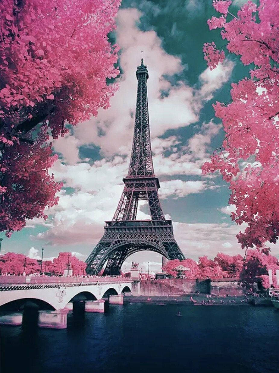 Pink Paris Trees With Eiffel Tower