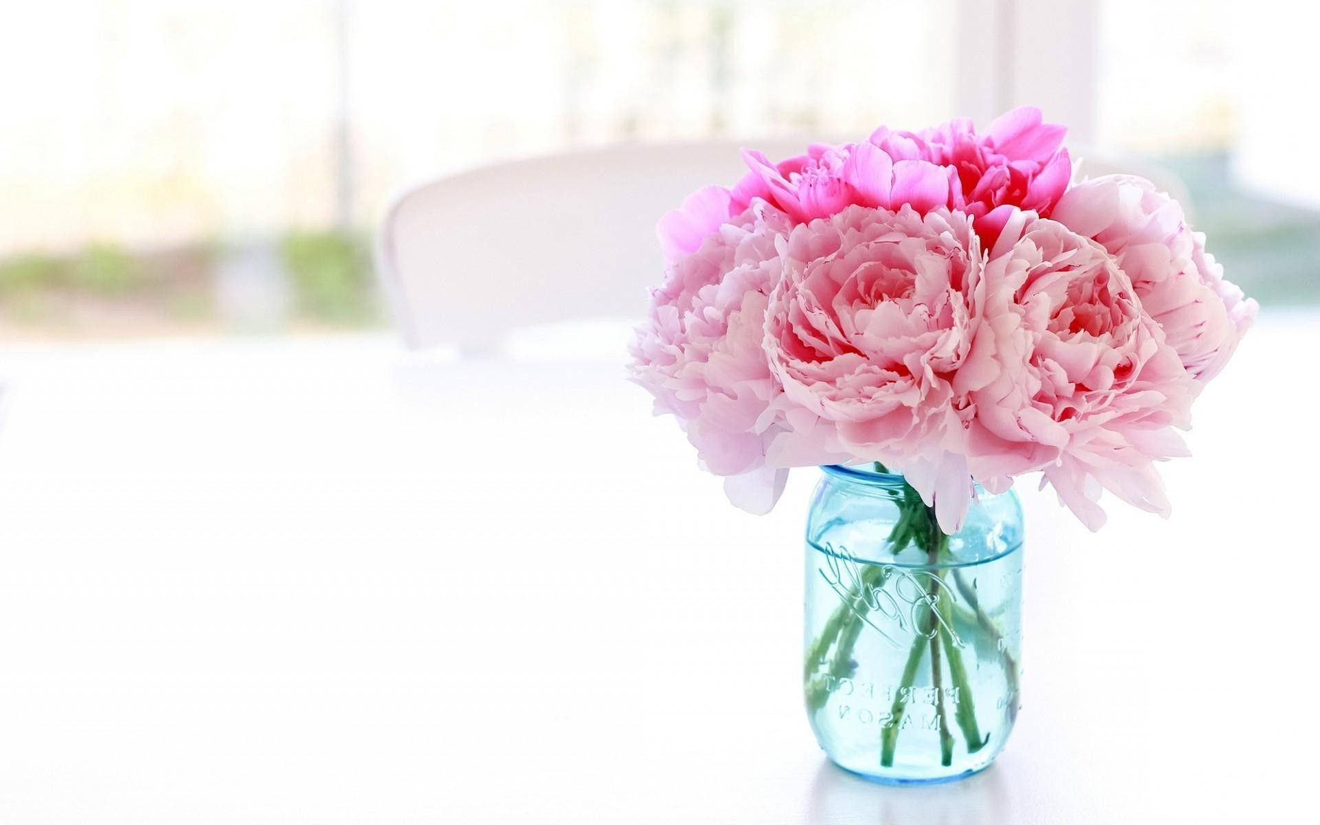 Pink Peony Flowers In Bottle Background