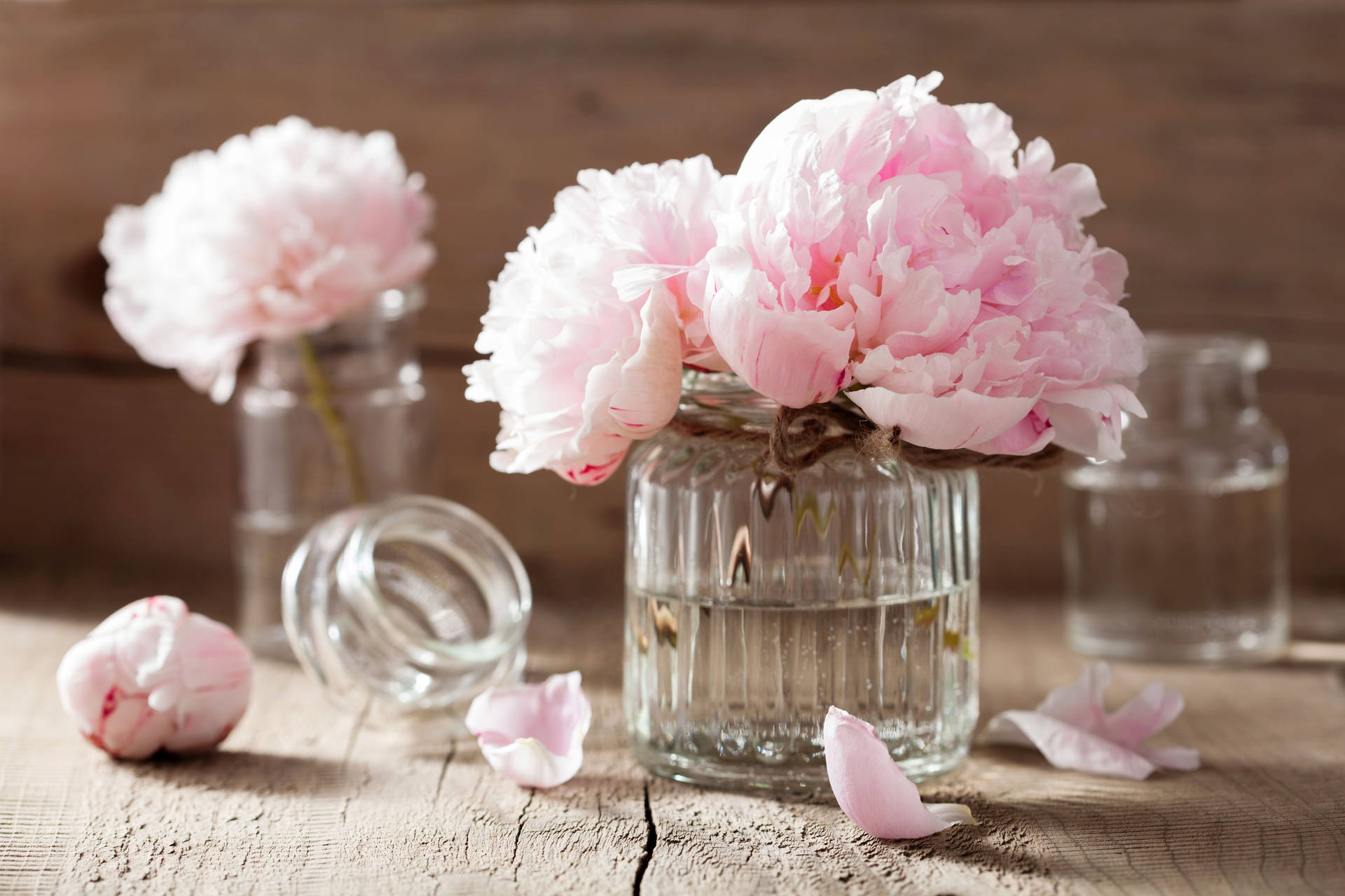 Pink Peony Flowers In Glass Jars