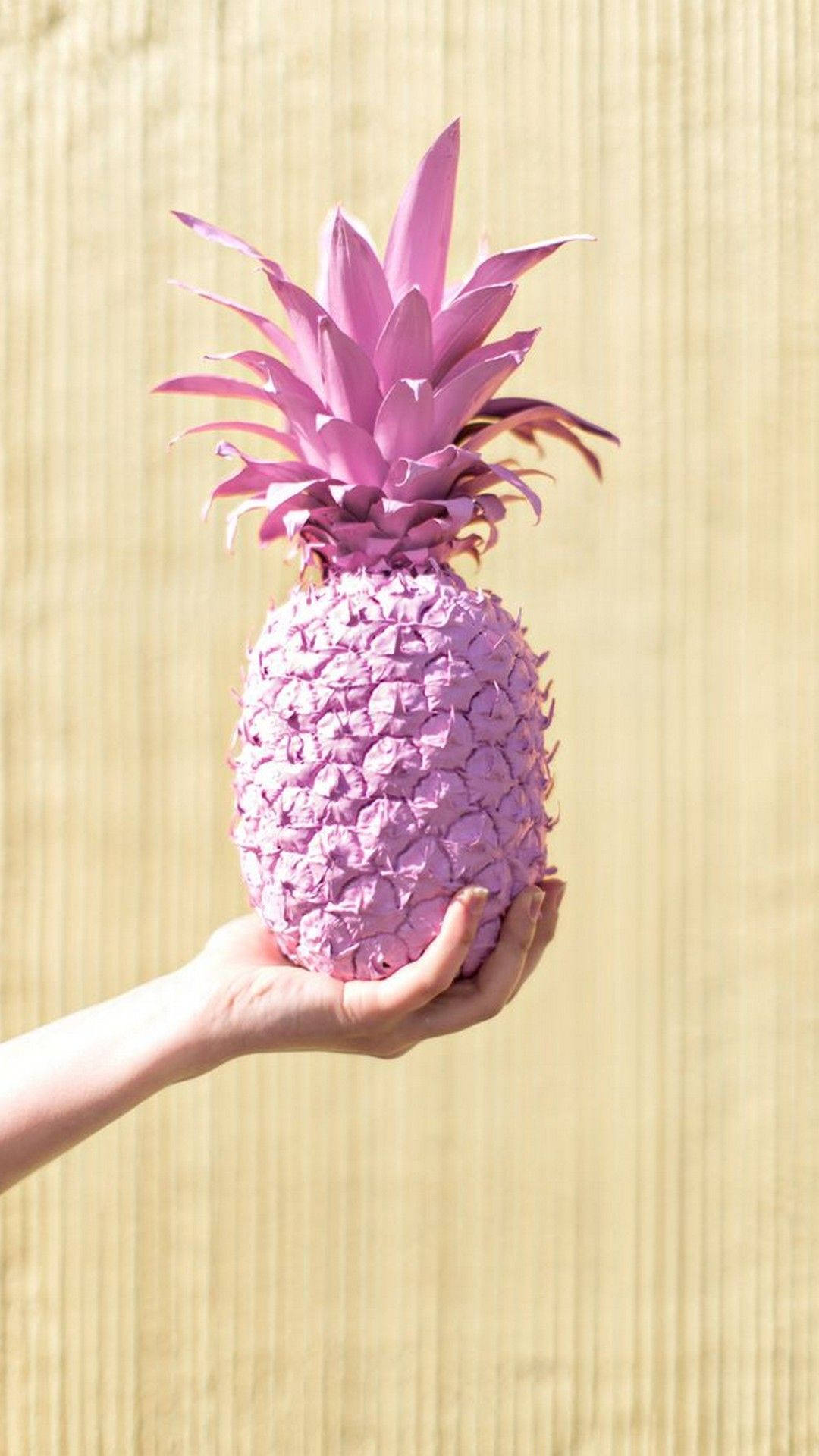 Pink Pineapple Photography Background