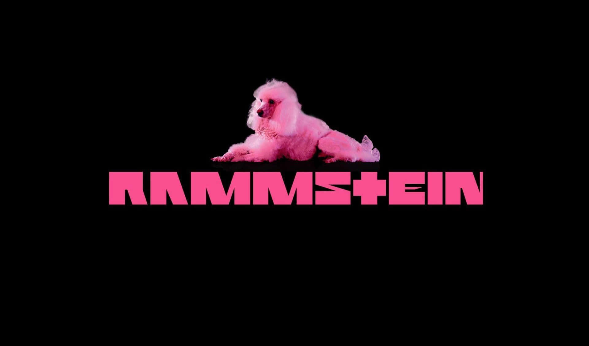 Pink Poodle Rammstein Logo Background