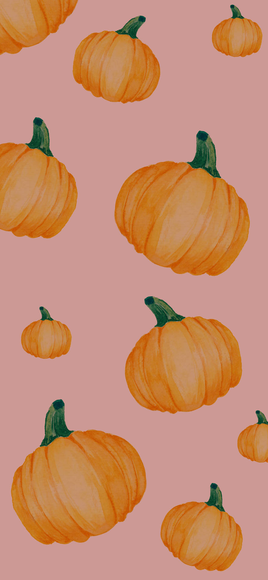 Pink Pumpkins Fall Halloween Baxkground Background