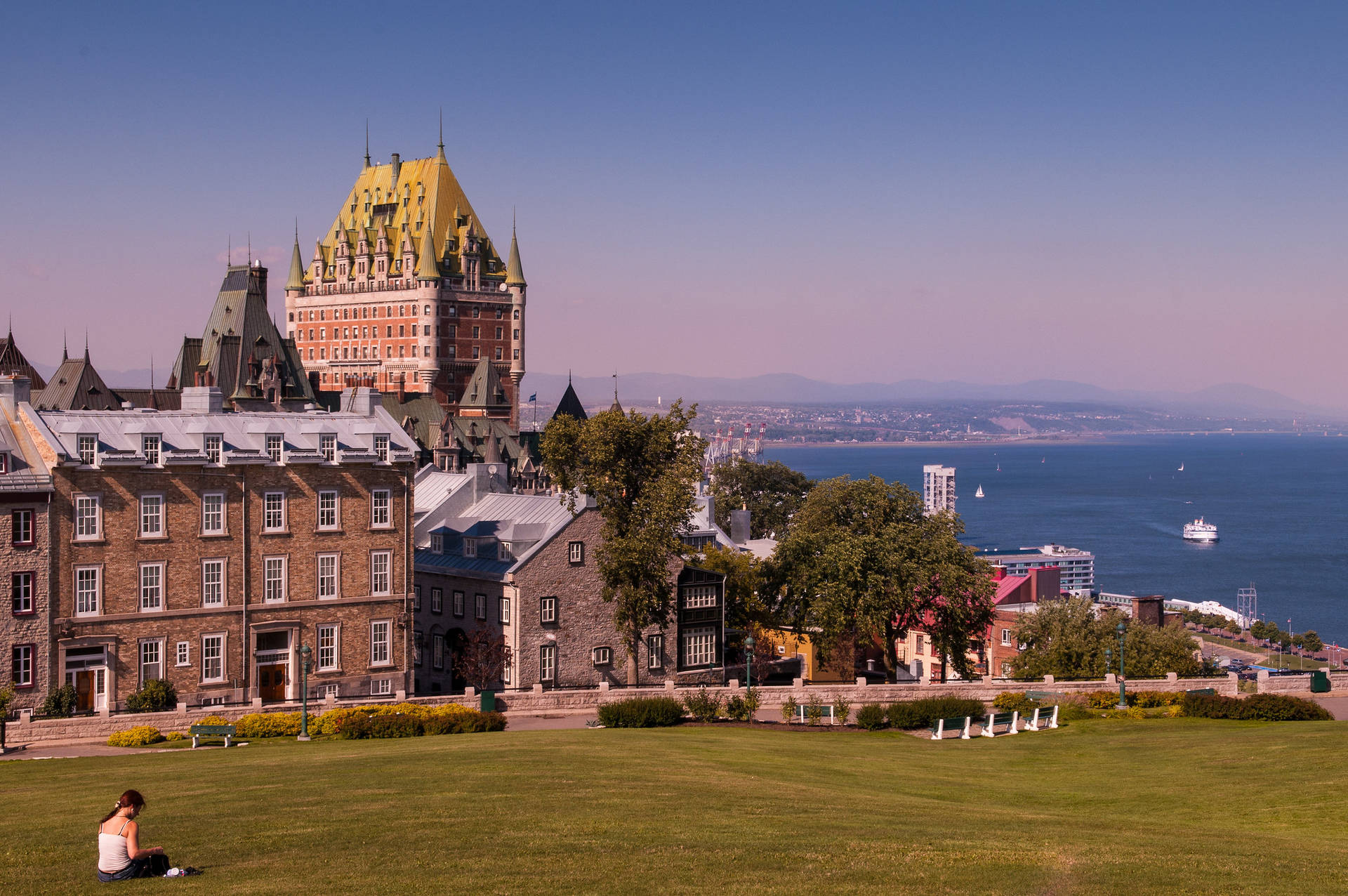 Pink Quebec City Field Background