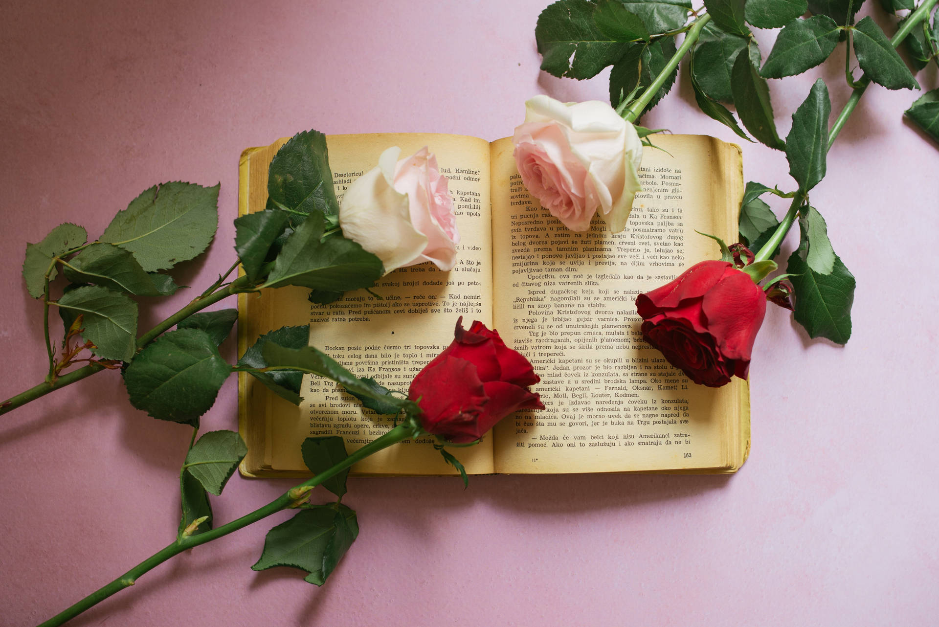 Pink Red Roses Aesthetic Book Desktop Background