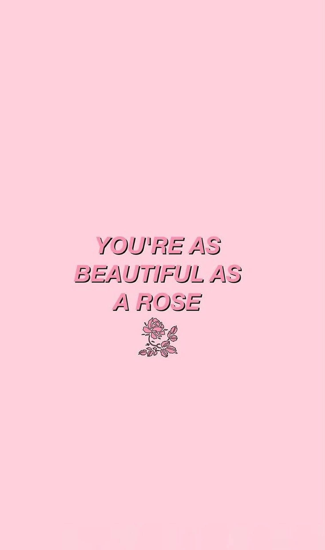 Pink Rose Aesthetic Words