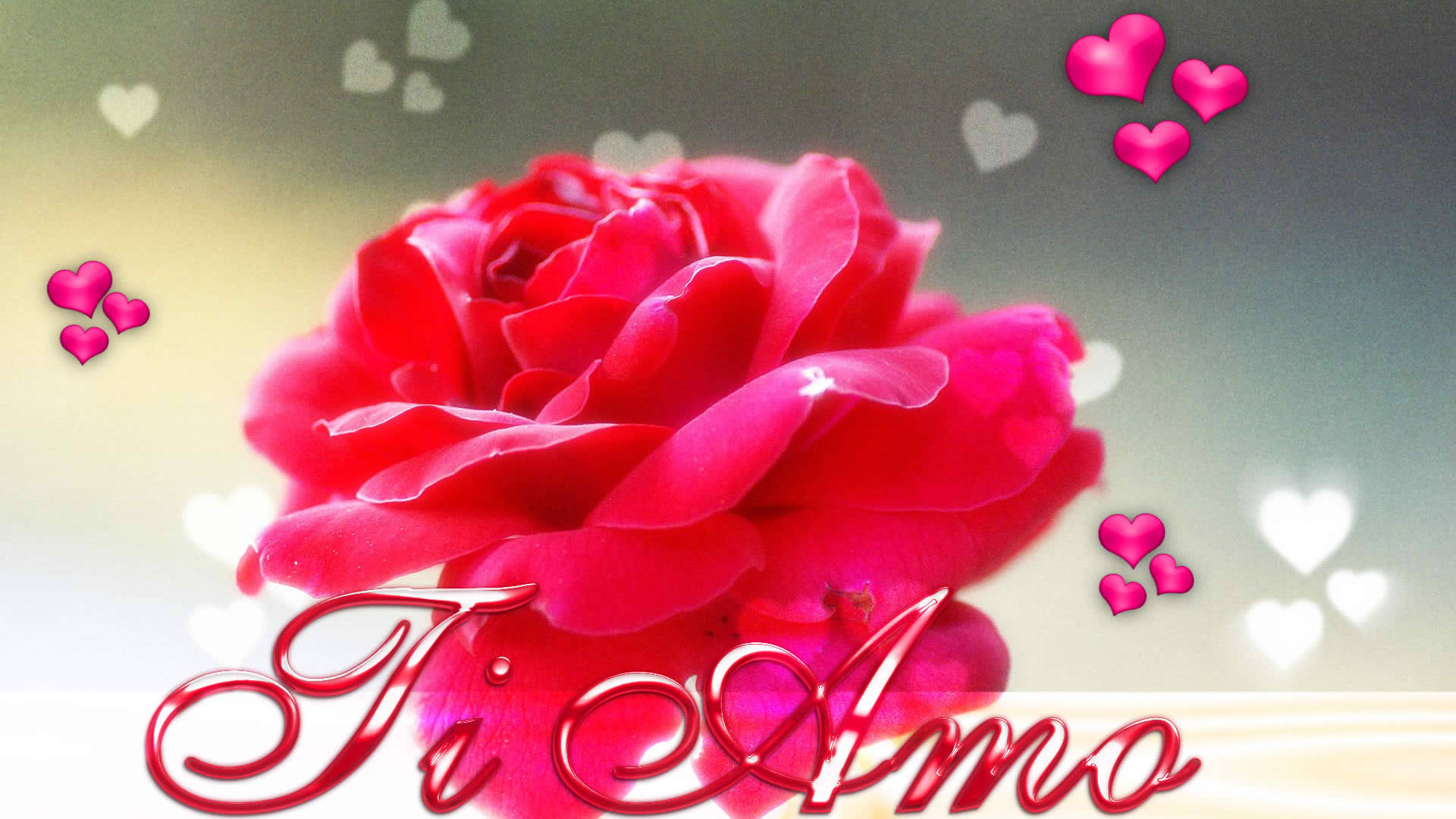 Pink Rose And Hearts Te Amo Background