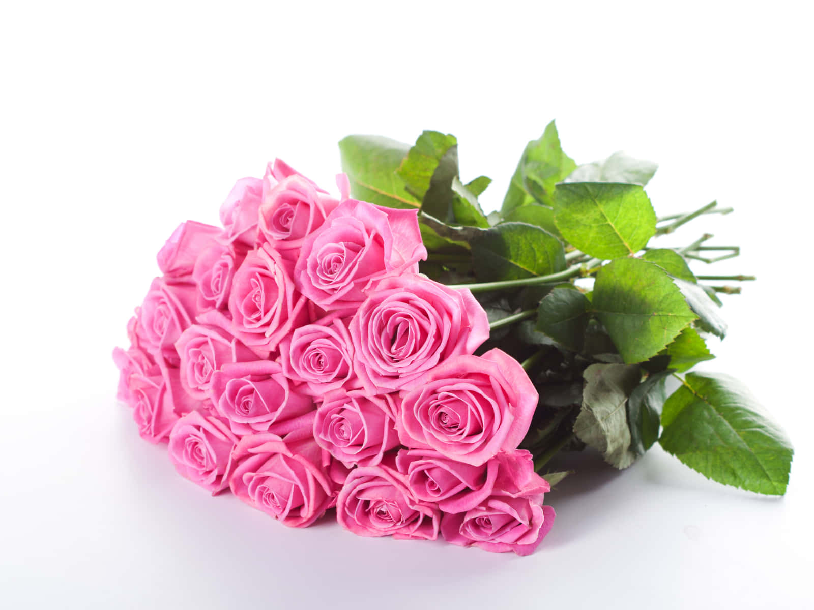 Pink Rose Bouquet Of Two Dozens