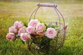 Pink Rose Flowers In Basket Background