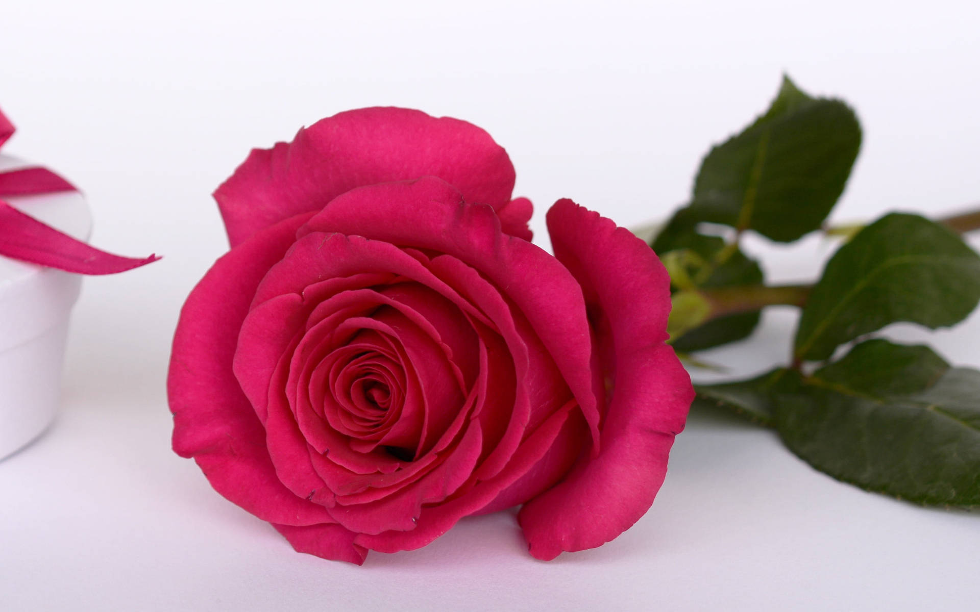 Pink Rose Gift Happy Birthday Flower