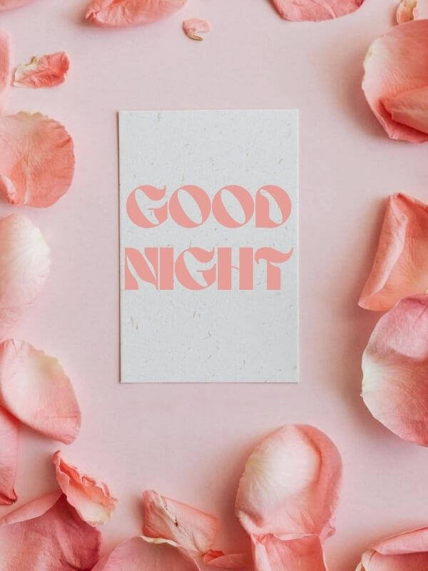 Pink Rose Good Night Background