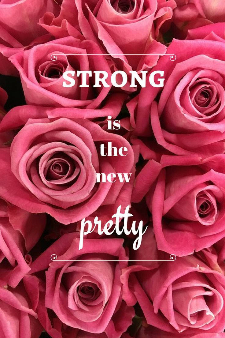 Pink Rose Iphone Inspirational Quote Background