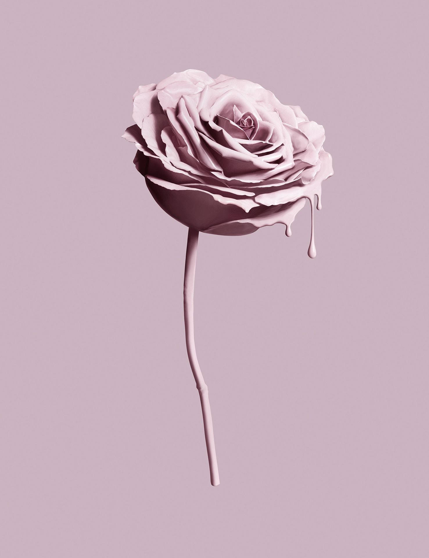 Pink Rose Tumblr Aesthetic Background