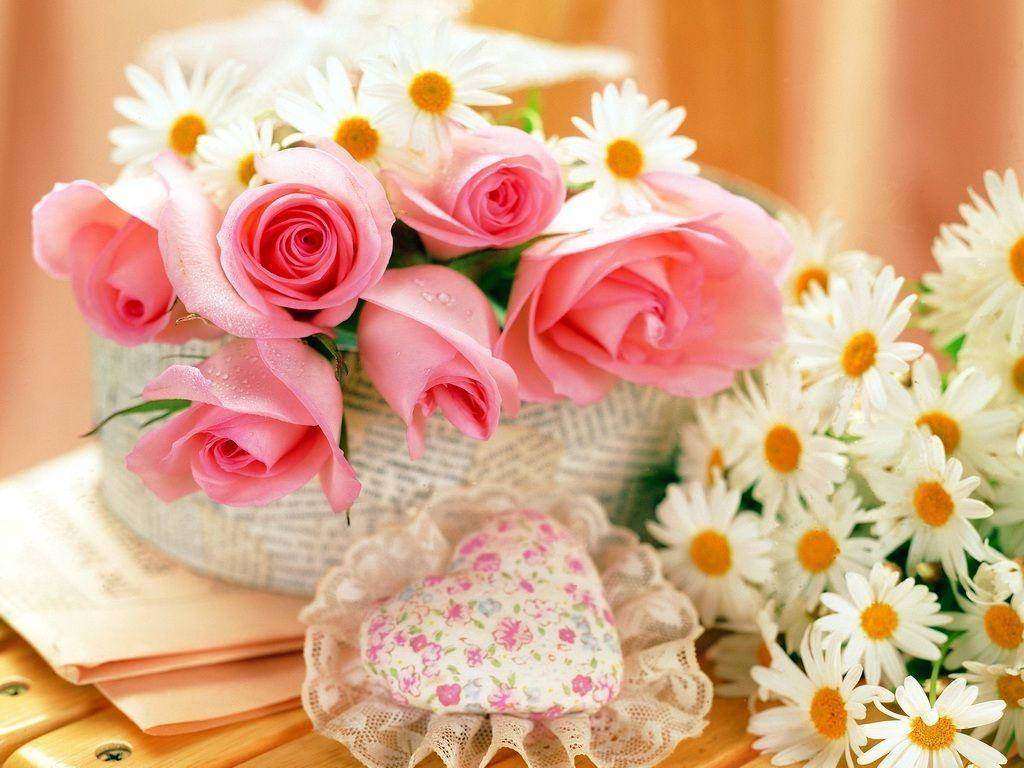 Pink Roses And Daisies