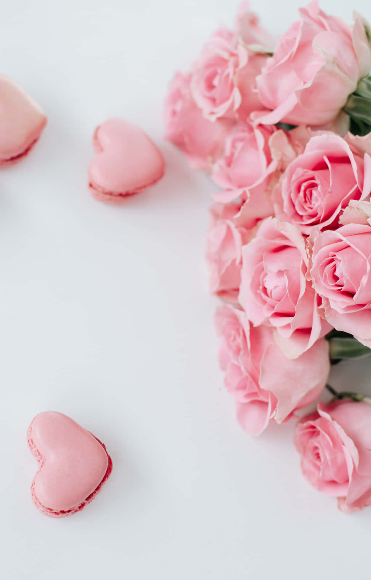 Pink Roses And Macarons On A White Background Background